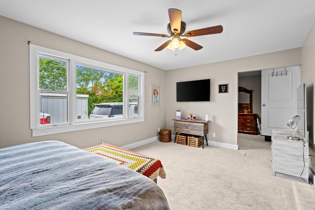 4871 County Road 23, Cardington, OH 43315 - photo 26