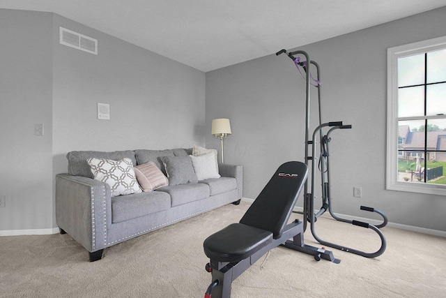9287 Auburn Ct, Powell, OH 43065 - exercise area featuring carpet and baseboards