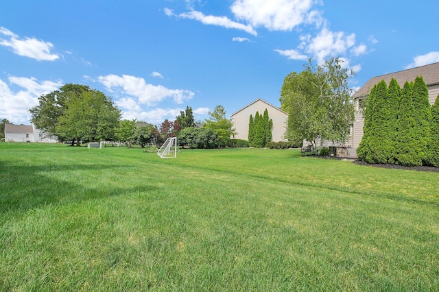 9287 Auburn Ct, Powell, OH 43065 - view of yard featuring an area for soccer