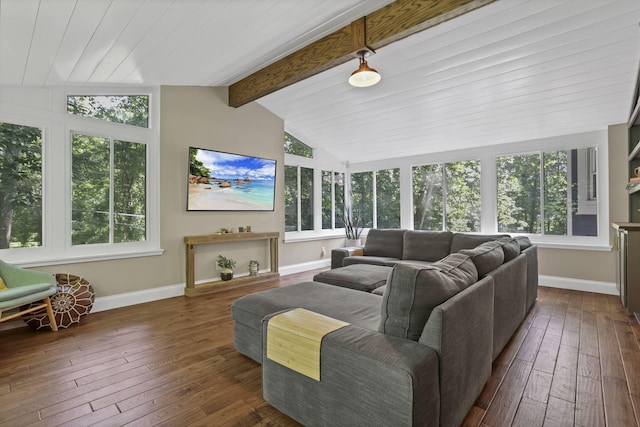 10 Denbigh Dr, Granville, OH 43023 - living area featuring dark wood-type flooring and plenty of natural light