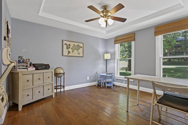10 Denbigh Dr, Granville, OH 43023 - home office with a raised ceiling, healthy amount of natural light, dark wood-style floors, ceiling fan, and crown molding