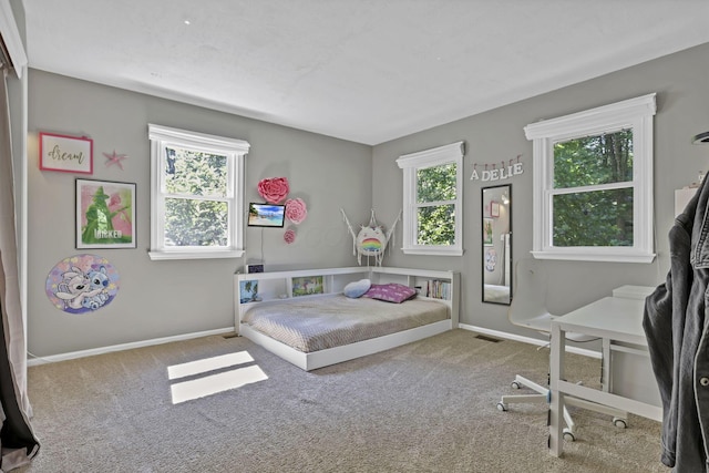 10 Denbigh Dr, Granville, OH 43023 - bedroom with carpet and baseboards