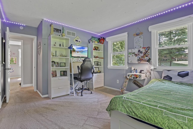 10 Denbigh Dr, Granville, OH 43023 - bedroom featuring carpet floors and a desk