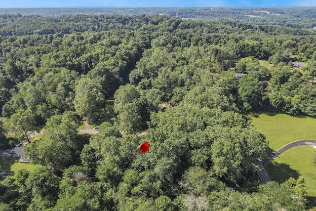 10 Denbigh Dr, Granville, OH 43023 - aerial overview of property's location with a forest