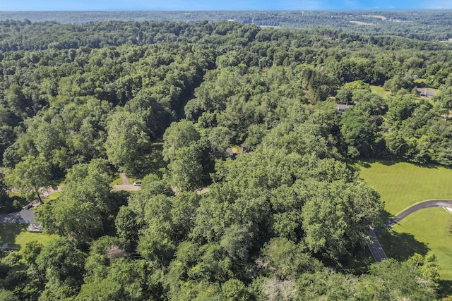 10 Denbigh Dr, Granville, OH 43023 - aerial view of property's location with a heavily wooded area