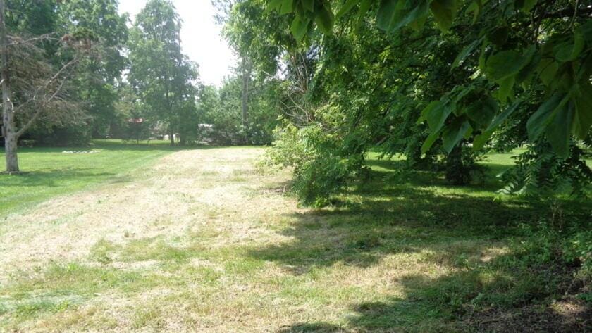 207 Nichols St, Cardington, OH 43315 - view of green lawn
