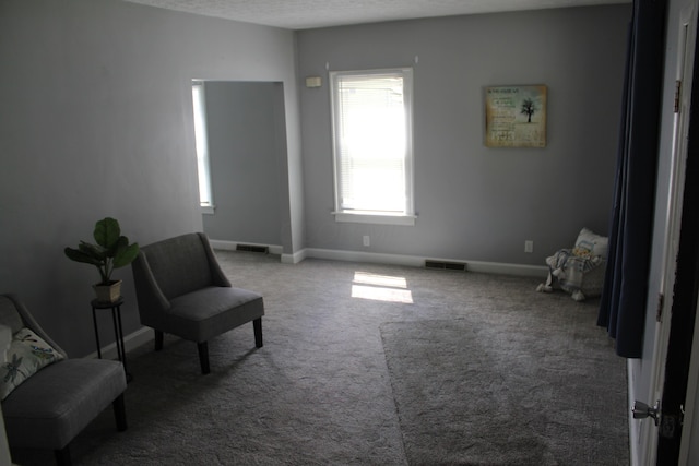 193 E Walnut St, Marion, OH 43302 - sitting room featuring carpet flooring and a textured ceiling