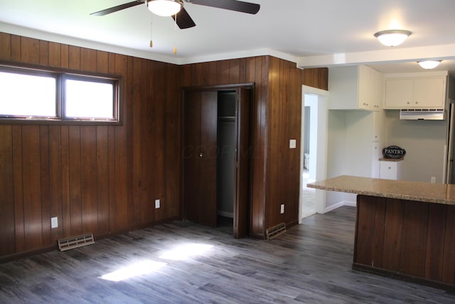 193 E Walnut St, Marion, OH 43302 - kitchen with a ceiling fan, white cabinetry, dark wood-style flooring, under cabinet range hood, and wooden walls