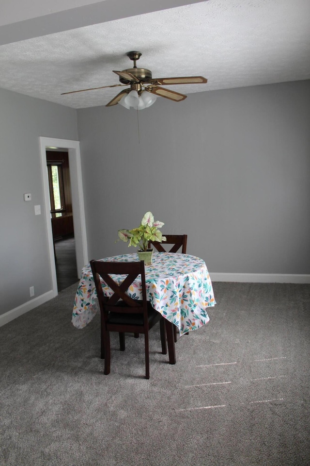 193 E Walnut St, Marion, OH 43302 - carpeted dining area featuring a ceiling fan and a textured ceiling