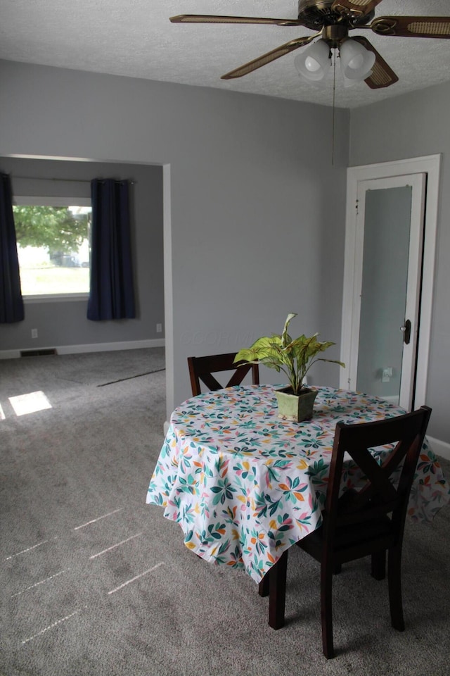 193 E Walnut St, Marion, OH 43302 - carpeted dining area featuring ceiling fan and a textured ceiling