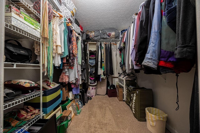 4247 Boulder Creek Dr, Columbus, OH 43230 - walk in closet featuring carpet flooring