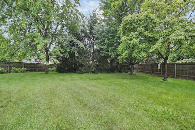 3007 Galen Ct, Hilliard, OH 43026 - view of fenced backyard