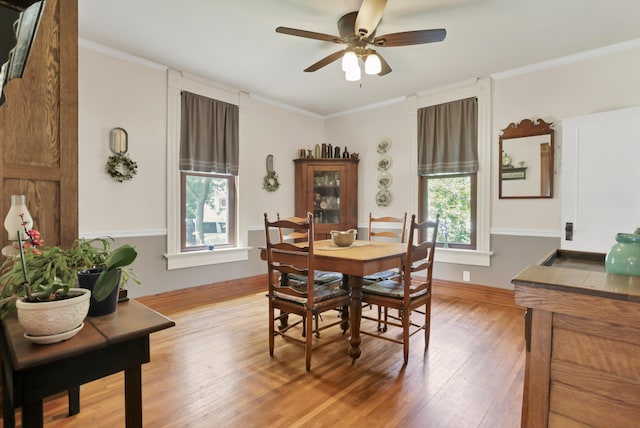 604 Elm St, Groveport, OH 43125 - dining area with plenty of natural light, light wood-style flooring, crown molding, and a ceiling fan