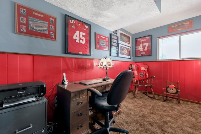 8547 Seabright Dr, Powell, OH 43065 - office featuring a textured ceiling, carpet, and wainscoting