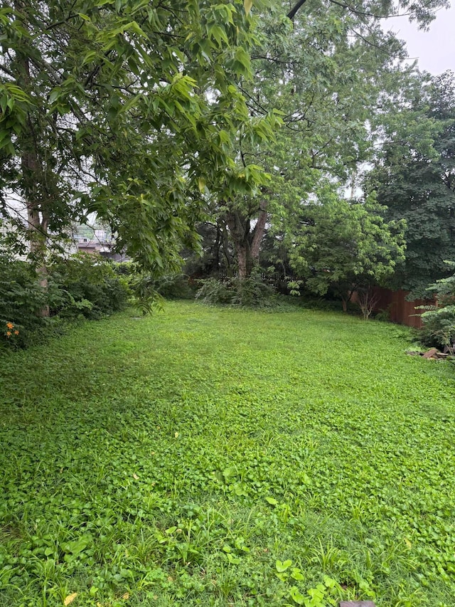 5542 Emerson Ave, Worthington, OH 43085 - view of yard