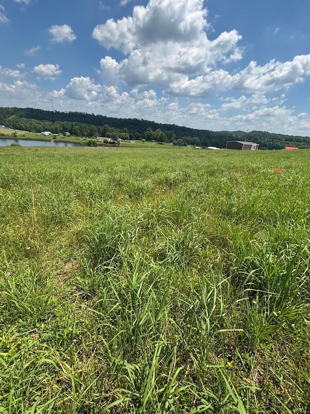 1353 State Route 13, Crooksville, OH 43731 - photo 5