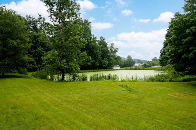 19261 Danville Jelloway Rd, Danville, OH 43014 - photo 6