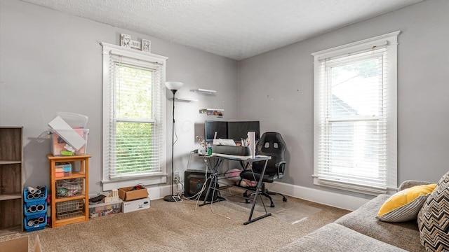 467 Mount Vernon Rd, Newark, OH 43055 - carpeted home office with healthy amount of natural light and a textured ceiling