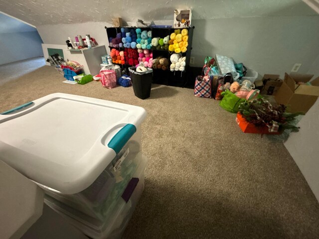 467 Mount Vernon Rd, Newark, OH 43055 - recreation room featuring carpet flooring