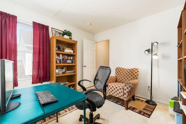 7787 Freesia St Unit 216, Blacklick, OH 43004 - carpeted office space featuring plenty of natural light