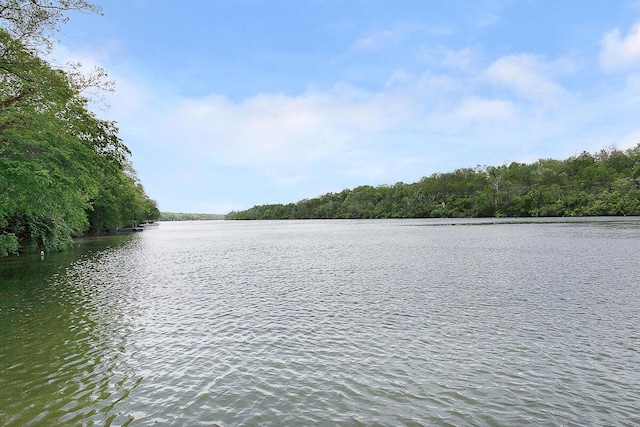 6447 Cranston Way Unit 19, Dublin, OH 43017 - water view with a forest