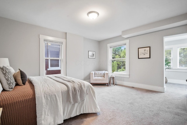 1867 Bryden Rd, Columbus, OH 43205 - bedroom with multiple windows and carpet floors