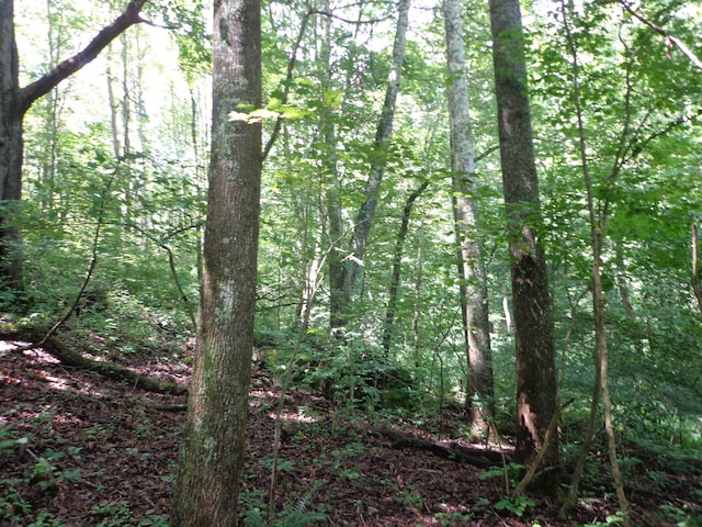 0 Sugar Grove Rd SE, Sugar Grove, OH 43155
