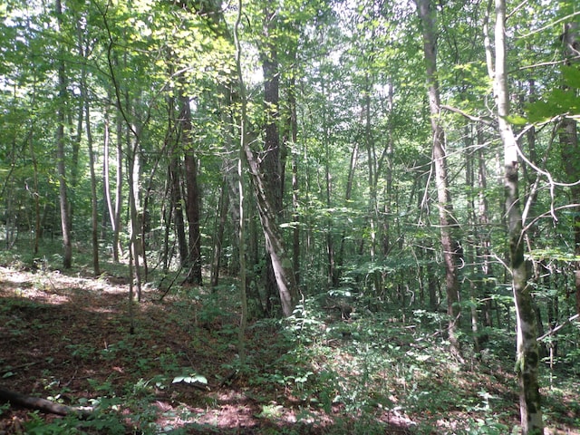 0 Sugar Grove Rd SE, Sugar Grove, OH 43155