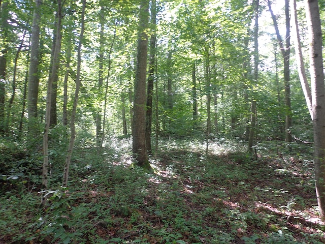 0 Sugar Grove Rd SE, Sugar Grove, OH 43155