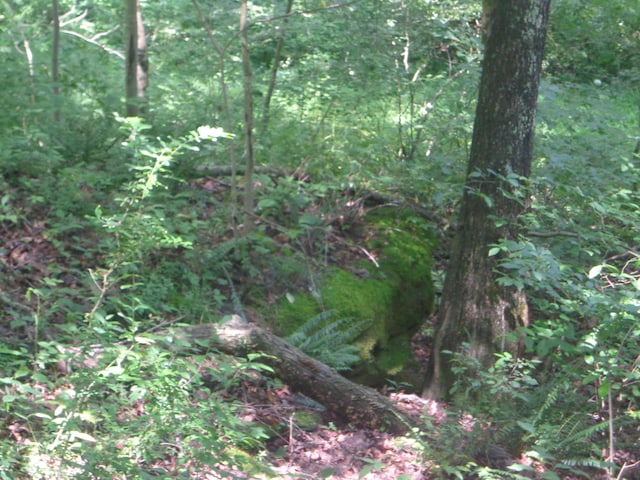 0 Sugar Grove Rd SE, Sugar Grove, OH 43155