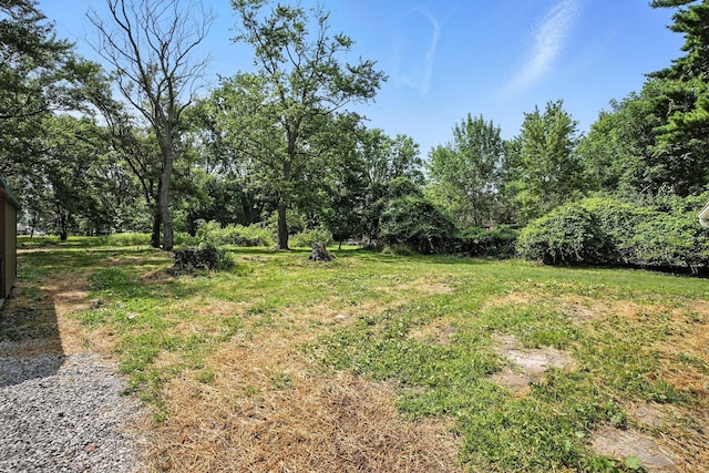 193 Collingwood Ave, Columbus, OH 43213 - photo 34