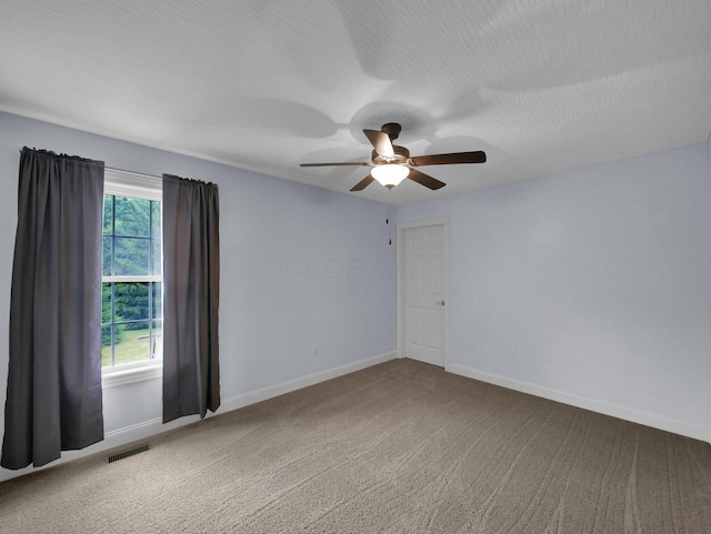 314 Middleburn St, Johnstown, OH 43031 - photo 20