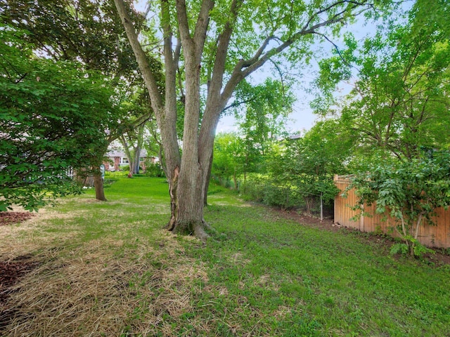 6019 Beechcroft Rd, Columbus, OH 43229 - view of grassy yard