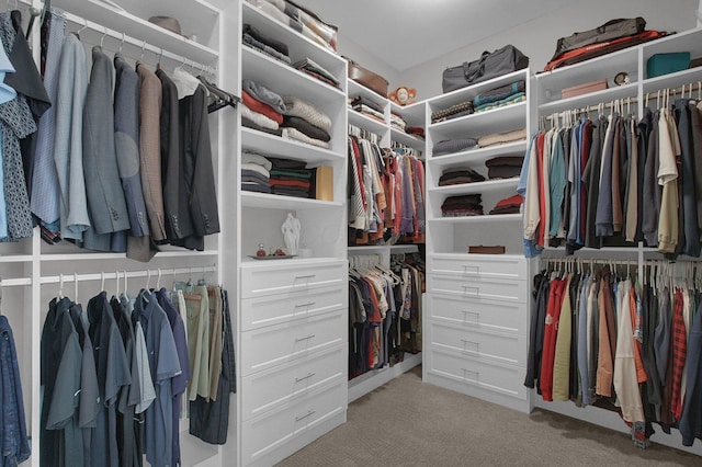 7211 Craigens Ct, Plain City, OH 43064 - walk in closet featuring light carpet