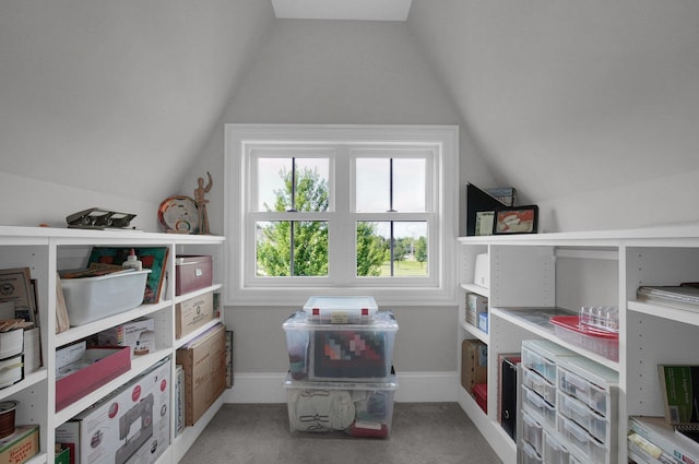 7211 Craigens Ct, Plain City, OH 43064 - view of storage