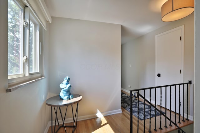 315 S Kellner Rd, Columbus, OH 43209 - staircase with plenty of natural light and wood finished floors