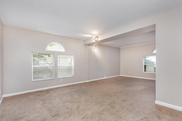 8661 Greylag St, Blacklick, OH 43004 - photo 2