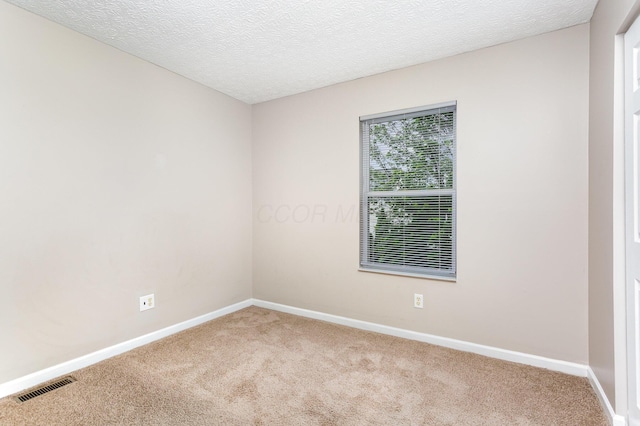 8661 Greylag St, Blacklick, OH 43004 - photo 13