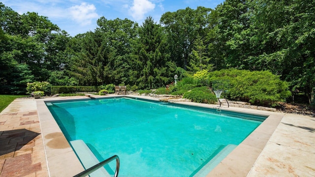 108 Hawks Cove Ct, Granville, OH 43023 - swimming pool with a patio, a diving board, and a forest view