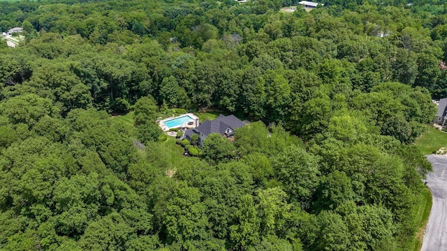 108 Hawks Cove Ct, Granville, OH 43023 - bird's eye view of a forest