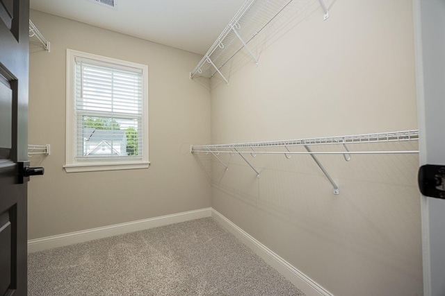 6014 Willow Aster Gln, Grove City, OH 43123 - photo 36