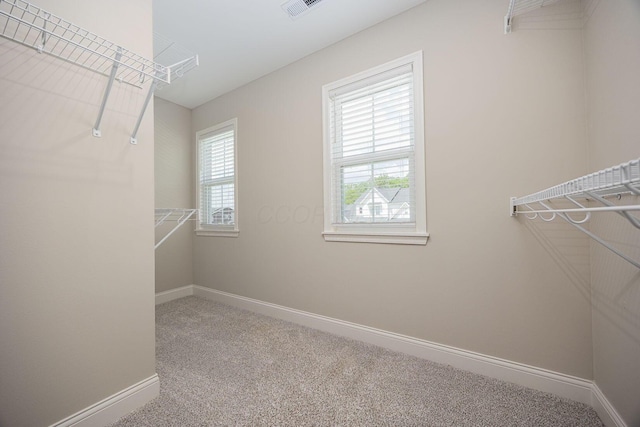 6014 Willow Aster Gln, Grove City, OH 43123 - photo 37
