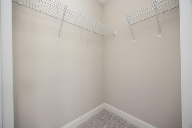6014 Willow Aster Gln, Grove City, OH 43123 - photo 50