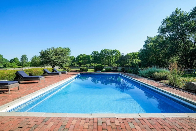 2500 Carriage Rd, Powell, OH 43065 - outdoor pool featuring a patio area and view of scattered trees