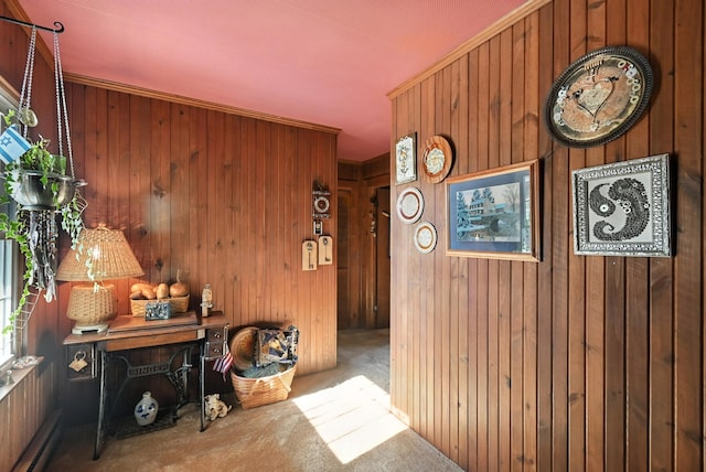 1994 County Road 61, Edison, OH 43320 - carpeted entryway with wooden walls and baseboard heating