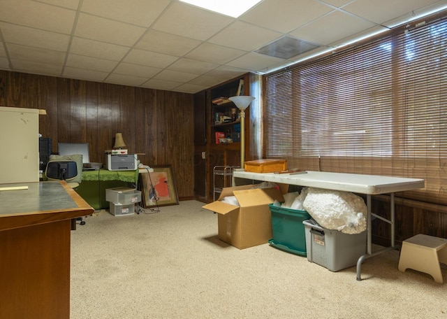 409 N High St, Lancaster, OH 43130 - finished basement featuring wood walls, carpet, and a paneled ceiling