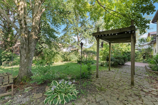 6666 Sharon Woods Blvd, Columbus, OH 43229 - view of yard with a patio area
