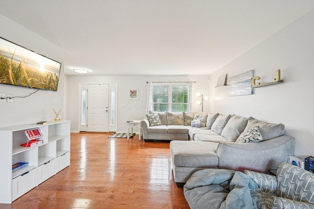 9375 Wingate Pl, Orient, OH 43146 - living area featuring light wood finished floors
