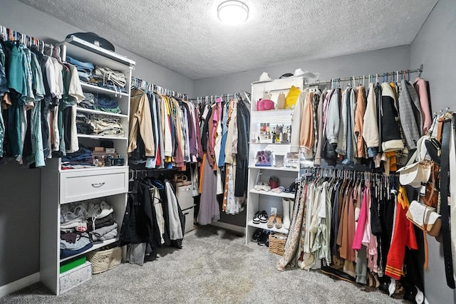 1978 Candlenut Cir, Grove City, OH 43123 - walk in closet featuring carpet flooring