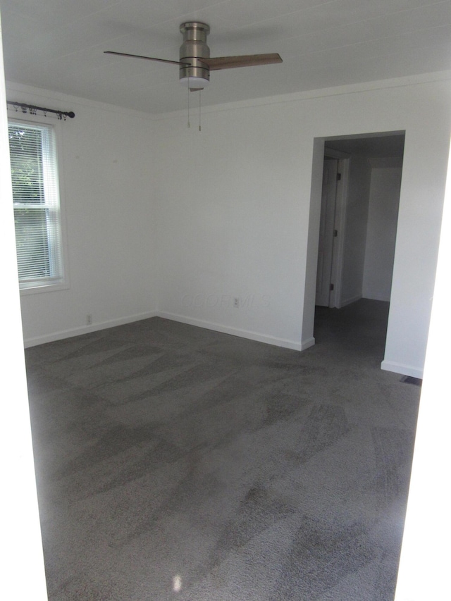 160 Logan St, Circleville, OH 43113 - photo 5